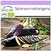 Foto SAFLAX - Ecológico - Berenjena - Púrpura Larga - 20 semillas - Solanum melongena