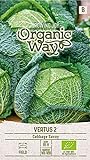 Organic Way | WIRSING VERTUS 2 samen | Gemüsesamen | Kohlsamen | Garten Samen | Mittelfrühsorte für die Sommer- bzw. Herbsternte | 1 Pack Foto, bester Preis 2,88 € neu 2024