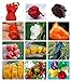 Foto 24 tipos de frutas 200 semillas de pimiento chile, semillas de hortalizas gigantes + pimiento + Carolina del Reaper