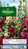 Vilmorin 5751742 Pack de Graines Rose Trémière Double Grande Variée Photo, meilleur prix 4,78 € nouveau 2024