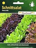 Schnittsalat Fitness Mix Salat vitaminreich Foto, bester Preis 2,50 € neu 2024
