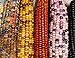 Photo Mountain Indian Corn Seeds for Planting Outdoors, 100+ Rainbow Corn Seeds ( Mixed Painted Mountain Indian Corn ), Rainbow Corn Seeds, Ornamental Corn