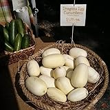 Dragon Eggs Seeds for Planting - 20 Seeds - White Cucumber Seeds - Ships from Iowa, USA Photo, best price $7.96 ($0.40 / Count) new 2024