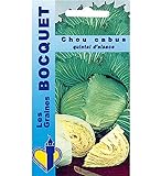 Sachet de graines de Chou cabus Quintal d'Alsace - 3 g - légume feuille - LES GRAINES BOCQUET Photo, meilleur prix 3,99 € (1 330,00 € / kg) nouveau 2024