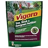 3.5 lb. Tree, Shrub and Evergreen Plant Food-Vigoro-124260 (1 Pack) Photo, best price $19.95 new 2024