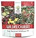 Photo Deer Resistant Wildflower Seed Mixture - Bulk 1 Ounce Packet - Over 15,000 Deer Tolerant Seeds - Open Pollinated and Non GMO