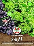 82860 Sperli Premium Salat Samen Mix | Pflücksalat Salatmischung | Saatband | Salat Saatgut | Salat Mix Samen Foto, bester Preis 3,72 € neu 2024