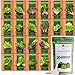 Photo Bulk Lettuce & Leafy Greens Seed Vault - 3000+ Non-GMO Vegetable Seeds for Planting Indoor or Outdoor - Kale, Spinach, Butter, Oak, Romaine Bibb & More - Hydroponic Home Garden Seeds (20 Variety)
