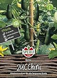 Zucchini, Quine, Cucurbita pepo Foto, bester Preis 4,56 € neu 2024