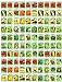 Photo 100 Assorted Heirloom Vegetable Seeds 100% Non-GMO (100, Deluxe Assorted Vegetable Seeds)
