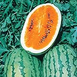 Burpee Orange Tendersweet Watermelon Seeds 60 seeds Photo, best price $7.19 new 2024