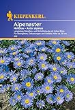 Sperli Blumensamen Alpenaster hellblau, grün Foto, bester Preis 1,86 € neu 2024