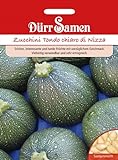 Dürr Samen 0982 Zucchini Tondo chiaro di Nizza (Zucchinisamen) Foto, bester Preis 3,67 € neu 2024