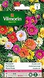 Vilmorin 5633441 Pourpier à Grande Fleur Double varie, Multicolore, 90 x 2 x 160 cm Photo, meilleur prix 2,50 € (11,90 € / kg) nouveau 2024