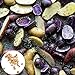 Photo 00 graines de pommes de terre mélangées Taux de germination élevée Facile à cultiver Facile à gérer les délices de jardinage de la ferme végétal en culture pour jardin agriculture à la Gra