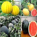 Cozy Crib Multicolor Watermelon Mix About 20 Seeds Photo, best price $5.99 ($0.30 / Count) new 2024