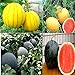 Photo Cozy Crib Multicolor Watermelon Mix About 20 Seeds