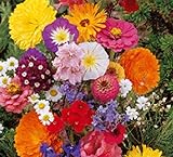 Lot de 50 Graines fleurs en malange a couper jardin colorés fleurs + ou - cornues 40-60 cm semence Photo, meilleur prix 4,39 € (0,09 € / unité) nouveau 2024