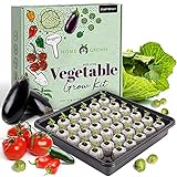 Vegetable Garden Starter Kit – 250+ Vegetable Seeds with Germination Seed Starter Tray, Soil, Markers, & Grow Guide - Vegetable Indoor Garden Kit - Indoor Seedling Seed Starter Kits Photo, best price $39.99 new 2024