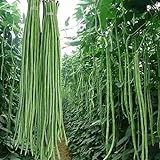 100 Pcs Snake/Yard-Long Asparagus Pole Bean Seeds Heirloom Non-GMO Seeds,for Growing Seeds in The Garden or Home Vegetable Garden Photo, best price $7.99 new 2024