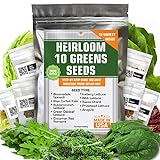 Heirloom Non-GMO Lettuce and Greens Seeds Variety Pack for Outdoor and Indoor Gardening & Hydroponics, 5000+ Seeds - Kale, Butter, Oak, Spinach, Romaine Bibb & More Photo, best price $12.90 ($0.00 / Count) new 2024