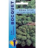 Sachet de graines de Chou frisé vert demi nain (Chou Kale) - 3 g - légume feuille - LES GRAINES BOCQUET Photo, meilleur prix 3,99 € (1 330,00 € / kg) nouveau 2024