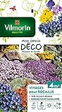 Vilmorin 5860943 Pack de Graines Fleur Vivace pour Rocaille Photo, meilleur prix 7,16 € nouveau 2024