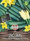 83598 Sperli Premium Zucchini Samen Leila | Zucchini Saatgut | Zuchini Samen | Samen Zucchini | Lange Ernte | Zuchini Saatgut | F1 Foto, bester Preis 5,97 € neu 2024