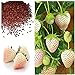 Photo MOCCUROD 300pcs White Alpine Strawberry Fragaria Vesca Pineberry Sweet Pineapple Flavour Seeds