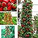 Foto Semillas Ecológicas Minigarden 50 piezas semillas de fresa roja fruta casera decoración en maceta plantas trepadoras-1 #