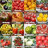 Set de graines de tomates PRADEMIR – 16 variétés de tomates - Graines 100% naturelles du Portugal - Variétés rares et anciennes à haut taux de germination. Photo, meilleur prix 7,99 € nouveau 2024