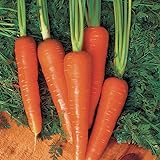 Carrot Seeds - Moonraker Pelleted - 10,000 Seeds Photo, best price $20.99 ($0.00 / Count) new 2024