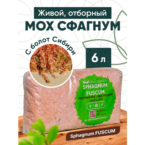 Мох сфагнум Fuscum живой, отборный в пакете 6 л. фотография