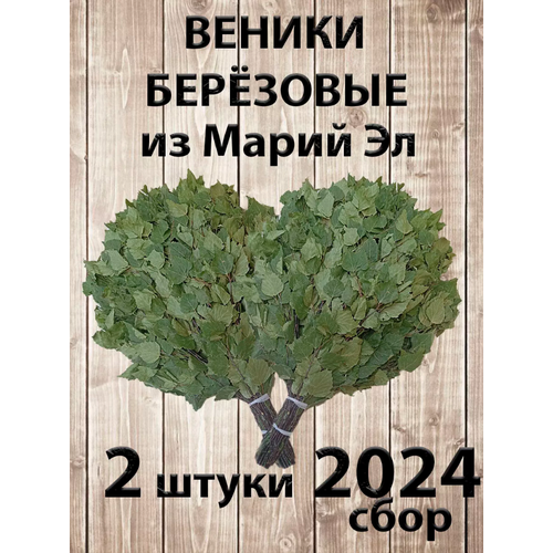 Веник березовый для бани 2 штуки Марий Эл, сбор 2024 года фотография