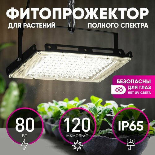 фотография Фитопрожектор для растений светодиодный ЭРА FITO-80W-Ra90-LED-Y полного спектра, купить онлайн 1972 рубл