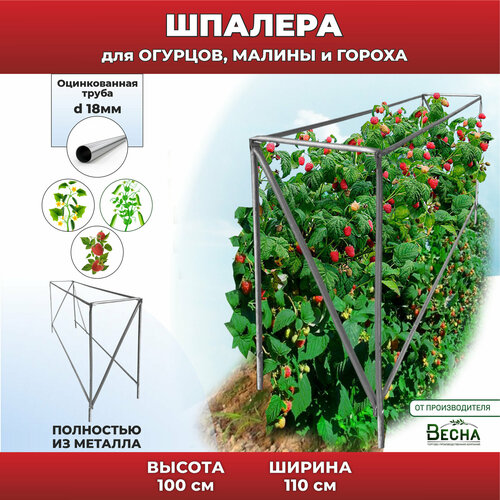 Шпалера садовая для малины, огурцов и гороха. Опора для вьющихся растений. фотография