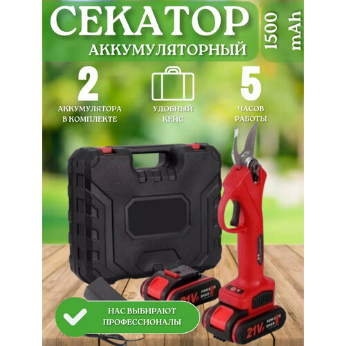 Аккумуляторный секатор-сучкорез Smart, 21 В, 2 А*ч, 2 аккумулятора, кейс фотография