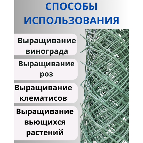 Сетка садовая пластиковая для плетистых роз яч.50х50мм 1х5м фотография