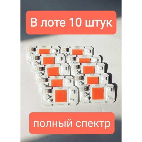 Десять полноспектральных светодиодов для растений (фитосветодиоды) YXO DOB4075-50W/220V фотография