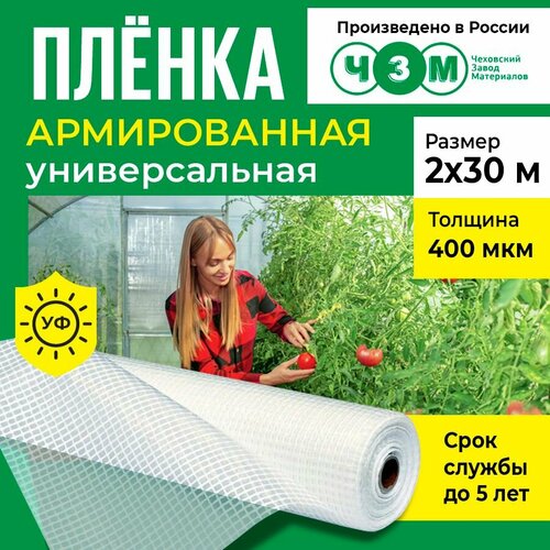 Пленка армированная универсальная 400 мкм, 2х30 м фотография