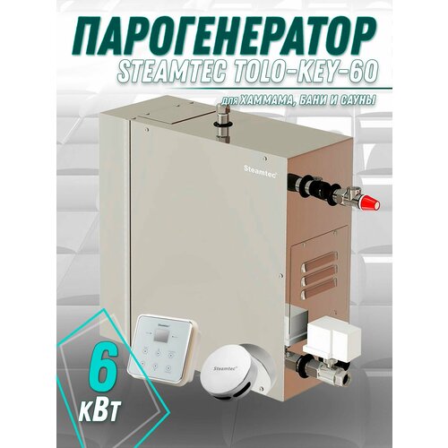 Парогенератор для хамама и турецкой бани Steamtec TOLO-60-KEY, 6 кВт (влагостойкий модуль управления) фотография