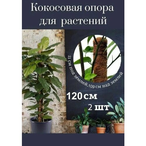 Кокосовая опора для комнатных и садовых цветов, держатель для растений в оплетке, 120 см , 2 шт. фотография