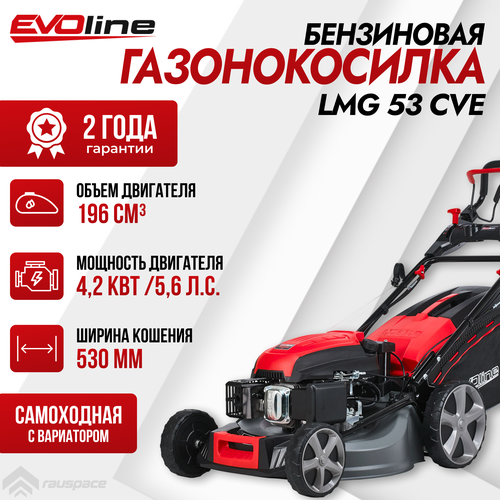 фотография Газонокосилка бензиновая EVOline LMG 53 CVE, купить онлайн 53990 рубл