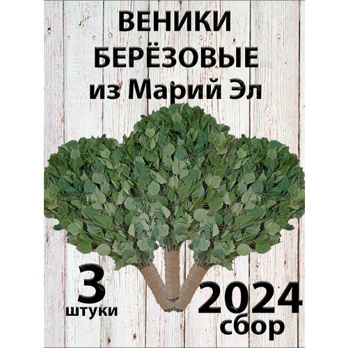 Веники березовые для бани из Марий Эл с ручкой из джута 3 штуки в коробке фотография