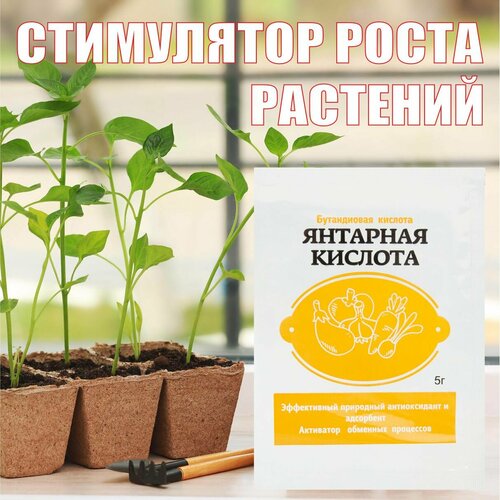 Янтарная кислота для растений 5г фотография