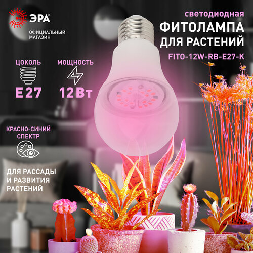 Фитолампа ЭРА FITO-12W-RB-E27-K светодиодная для растений красно-синий спектр 1310К 12Вт фотография