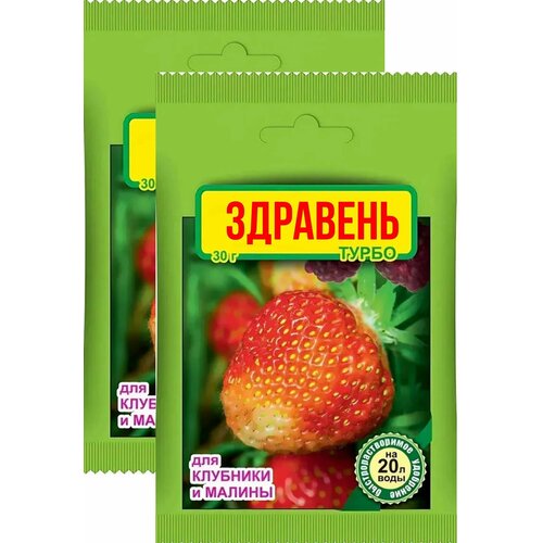 60г Удобрение Здравень турбо для клубники и малины 30 г х2шт Ваше Хозяйство ВХ фотография