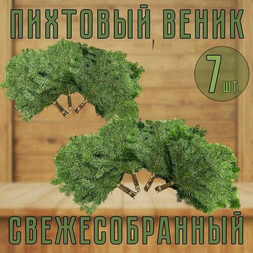 Веник Пихтовый свежесобранный для бани 7шт. фотография