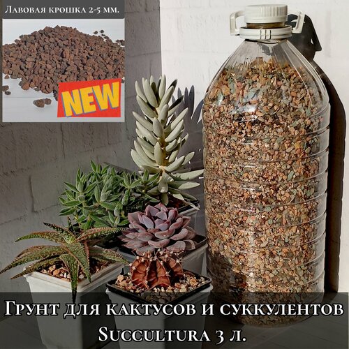 Грунт для кактусов и суккулентов Succultura 3 л. фотография