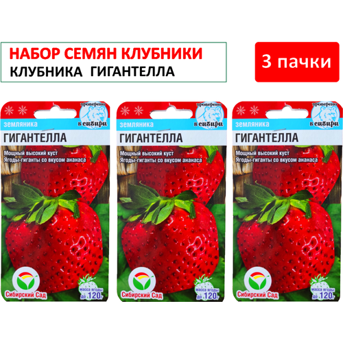 Упаковка 3 пачки: Семена Клубника Гигантелла крупноплодная, Сибирский Сад, 10 шт. фотография